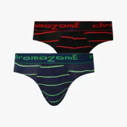 Pack of 2 Striped Briefs-image-9