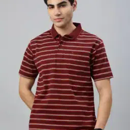 Men Regular Fit Polo T-Shirt-image-61