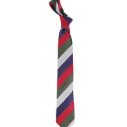 Men Stripes Tie-image-23