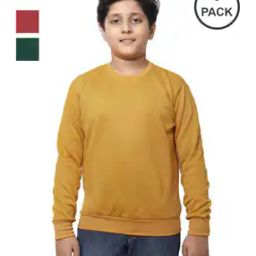 Boys Regular Fit Round Neck Sweatshirt -image-43