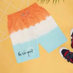 Boy Regular Fit Colourblock Shorts-image-35