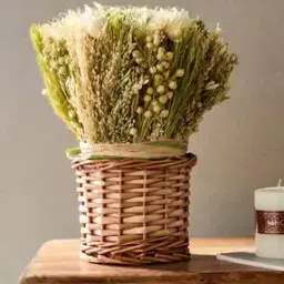 fabindia Sughandh Dried Flowers-picture-14