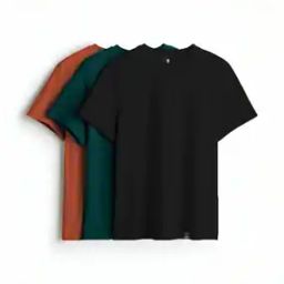 Women Pack of 3 Round-Neck T-Shirts-image-104