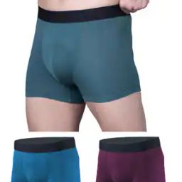 Solid Trunks-image-97
