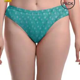 Women Pack of 2 Printed Hipster Panties with Elasticated Waistband-image-98