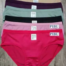 Women Pack of 6 Briefs Panties with Elasticated Waist-picture-30