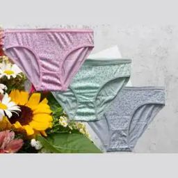 Full Coverage High Rise Briefs-picture-7