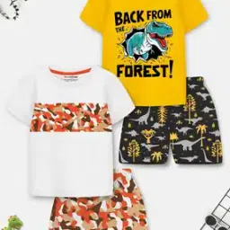 Boys Graphic Shorts And T-Shirt Set-image-19