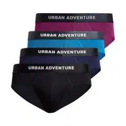Pack of 4 Modal Regular Briefs         -15