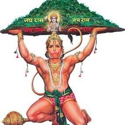 Large Lord Hanuman Vinyl Wall Sticker-image-83