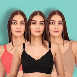 Women Pack of 3 Full Coverage T-Shirt Bras-image-25