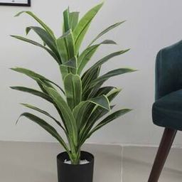arick decor  Artificial Dracaena Plants With Pot-picture-15
