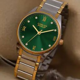 carlos philip Men Quartz Movement Analogue Watch- Gre IGP TT RSG 13-picture-24