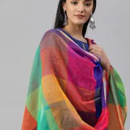 Colourblock Dupatta with Tassels-picture-45