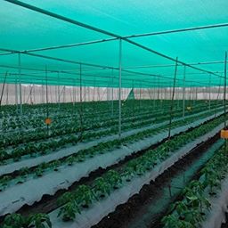NMK NETS Fencing Shade Net 90% 2x18 Meter (6.5x60 Feet,Green) with Attached Metal Eyelets for Garden Farm and Other Multipurpose Green Net, Wrap Knitted Fabrics image 5