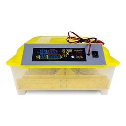 Ndeal Full Automatic Egg Incubator | Hatcher for 48 Eggs All-in-One | Transparent Eggs Hatching Machine | Chicken Incubator with 12V & 220V Dual Power - 80 Watts image 1