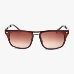 Lightweight Square Sunglasses-image-41