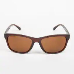 P357BR3 Full-Rim Wayfarer Sunglasses-27