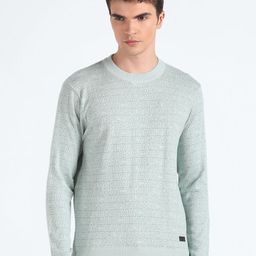 Flying Machine Typography Printed Round Neck Pure Cotton Pullover-image-98