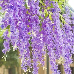 WELL ART GALLERY Purple & Green 12Pcs Hanging Blossom Artificial Flowers-image-52