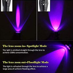 UV Flashlights Rechargeable, PROFORUS Ultraviolet Flashlight 365nm & 395nm Double UV Light Source Blacklight Flashlight Torch 2 in 1 Zoomable for Detect Pet Urine Stains Scorpions Art Photography image 4