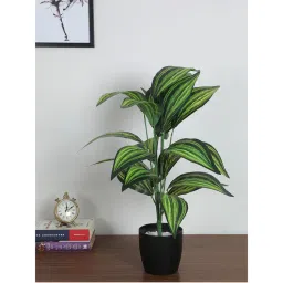 Home Bloom Artificial Cast-Iron Plant Big Ornamental Plant for Interior Decor-Home-picture-36