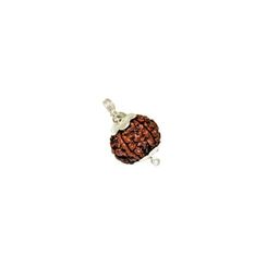 the vaidik Vaidik Rudraksha Brown Certificate Lab Test & X-ray Report with Silver Capping| Rudraksha for Men & Women image 4