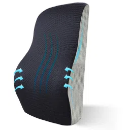 SLEEPSIA Memory Foam Lumbar Support - Orthopedic Backrest Cushion Black-picture-0