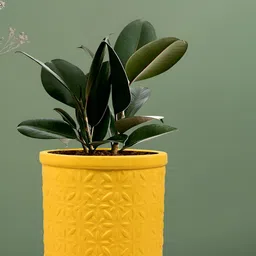 LASAKI Yellow Textured Ceramic Planter Holder-41