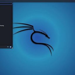 generic Kali Linux OS Ver 2023.1 Everything Live + Installer 64 Bit Penetration Testing Operating System 32 Gb USB image 4