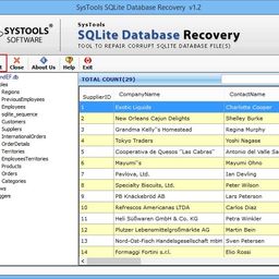 SysTools SQLite Recovery (Email Delivery-No CD) image 5
