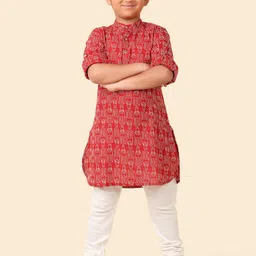 Fabindia Boys Conversational Printed Band Collar Cotton Straight Kurta-picture-23