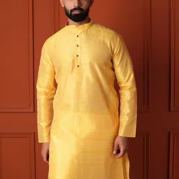 Lightpole Mandarin Collar Long Sleeves Straight Kurta-picture-41
