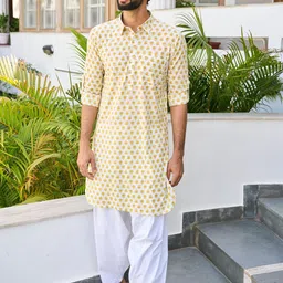 See Designs Ethnic Motif Printed Shirt Collar Pure Cotton Kurta-picture-43
