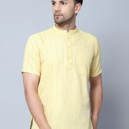 Latest Chikan Garments Striped Mandarin Collar Short Sleeve Straight Kurta-image-78
