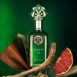 Paris Corner Perfumes North Stag Hypnotic Oud Oquinze XV Eau de Parfum - 100 ml-14