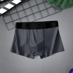 asthamoxi Pack of 3 Regular Trunks image 3