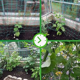 AMZ Sports Nets Nylon Garden Plant Netting | Plant Support Netting | Garden Netting with Square Mesh for Climbing Plants, Vegetables, Fruits, and Flowers | Heavy Duty (5FT x 10FT) image 2