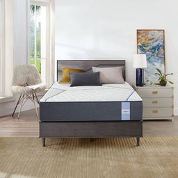 Memory & Bonded Mattresses, Spine Support Orthoapedic Mattress - Single Size-image-28