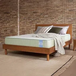 springtek Dreamer Natural Latex Foam Single Size Mattresss-picture-31