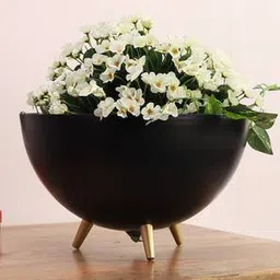pristine interiors Black & Gold Metal Planter-picture-17
