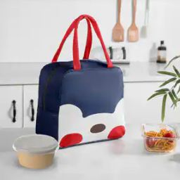 Insulated Waterproof Lunch Bag-34