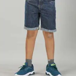 Boys Striped Regular Fit Shorts-picture-30