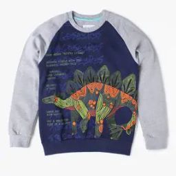 Dinosaur Print Crew-Neck Sweatshirt-picture-18