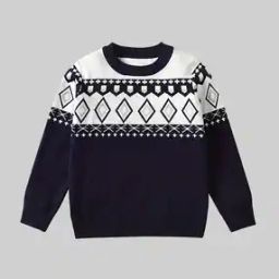 Boys Regular Fit Round-Neck Sweatshirt-30