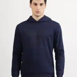   Men Typographic Regular Fit Sweatshirt-image-54