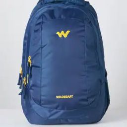 Men Laptop Back Pack-84