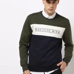 Typographic Print Crew-Neck Slim Fit Sweatshirt-image-4