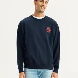 Men Embroidered Relaxed Fit Sweatshirt-image-11