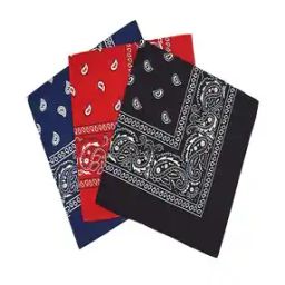 Cotton Paisley Bandanas-image-53